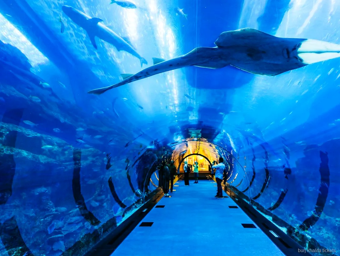 Esposizione dello Zoo Sottomarino incluso nel biglietto Burj Khalifa e Acquario di Dubai